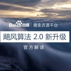 飓风算法 2.0 官方解读